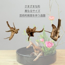 Aquarium Driftwood Aquarium Background Decoration Sticker Natural Driftwood Reptile Hideaway (Set of 6) Length 5 - 18 cm Diameter 5 - 8 cm