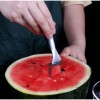 Unbranded Watermelon Slicer Cutter,2-in-1 Fork Stainless Steel Fruit Cutting Artifact