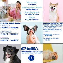 Petyee Dog Hair Vacuum & Dog Grooming Kit, 11000Pa Powerful Suction Low Noise 2L Capacity with 5 Pet Grooming Tools for Dogs and Cats Hair for Shedding Grooming Hair, Blue