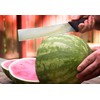 Mercer Culinary 12 Inch Watermelon Knife