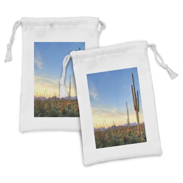 Ambesonne Desert Fabric Pouch Set of 2, Sonoran Desert Catching