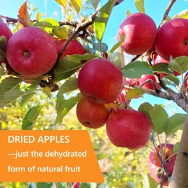 Dried Apple,7.05oz/200g,Dehydrated Apple Slices for Snacking Potpourri