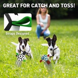 QDAN Small Dog Toys, Puppy Balls, Dog Balls with Straps for Small Breed, Soccer Ball for Dogs, Puppy Toys, Dog Birthday Gift (Pack of 2, 3.5 Inch)