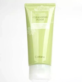 인기 깨끗한피부로 가꿔주는 클렌징 폼 150ml Popular Cleansing Foam for Clean Skin 150ml