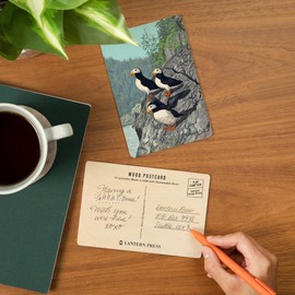 Horned Puffins (4x6 Birch Wood Postcards, 2-Pack Stationary, Rustic Home Wall Decor)