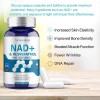 Vivalifer Suplemento Nad Resveratrol 120 Capsulas