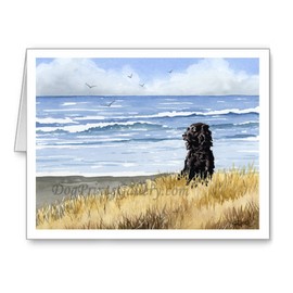 DJ Rogers Fine Art Boykin Spaniel at the Beach - Set of 10 Watercolor Note Cards With Envelopes