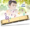 Harmonica Professional Mouthorgan Diatonic Harp 1.2mm Brass Base Plate 24‑Hole
