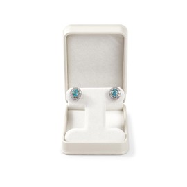 Papten Premium T-Earring Gift Box with Velvet Lining and Leather for Earrings Storage Dispiay Engagement Wedding Anniversary Birthday Gift（beige）