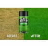 Sherwin-Williams Grass Shrub & Landscaping Pristine Green Aerosol Spray Paint