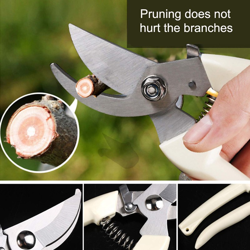 2PC Stainless Steel Pruning and Cutting Multifunctional Horticultural Scissors Orchard