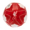 Liverpool FC Miniball