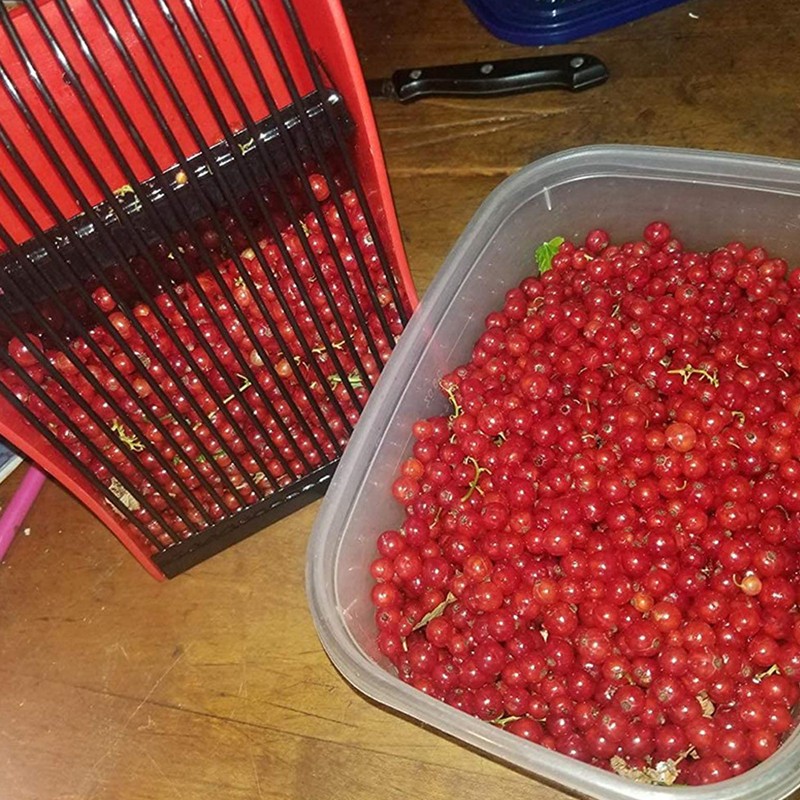 Blueberry Picker Scoop Berry Rake Hand Garden Farm Tool with