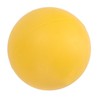 Dog Bouncing Ball Solid High Elasticity Toxic Free Floating Rubber
