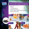 Science MAD! Crystal Growing Lab
