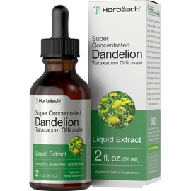 Horbäach Dandelion Root Extract Supplement | 2 fl oz | Super Concentrated | Alcohol Free Liquid Tincture | Vegetarian, Non-GMO, Gluten Free
