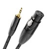deleyCON 5 m XLR Female to 3.5 mm Jack Plug