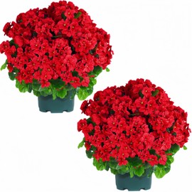 QIANYUN Artificial Topiary for Outdoors- 20” Potted Plant Fake Geraniums Bush-UV Resistant Artificial Outdoor Plant for Front Porch, Garden, Yard, Patio Decor (Red)