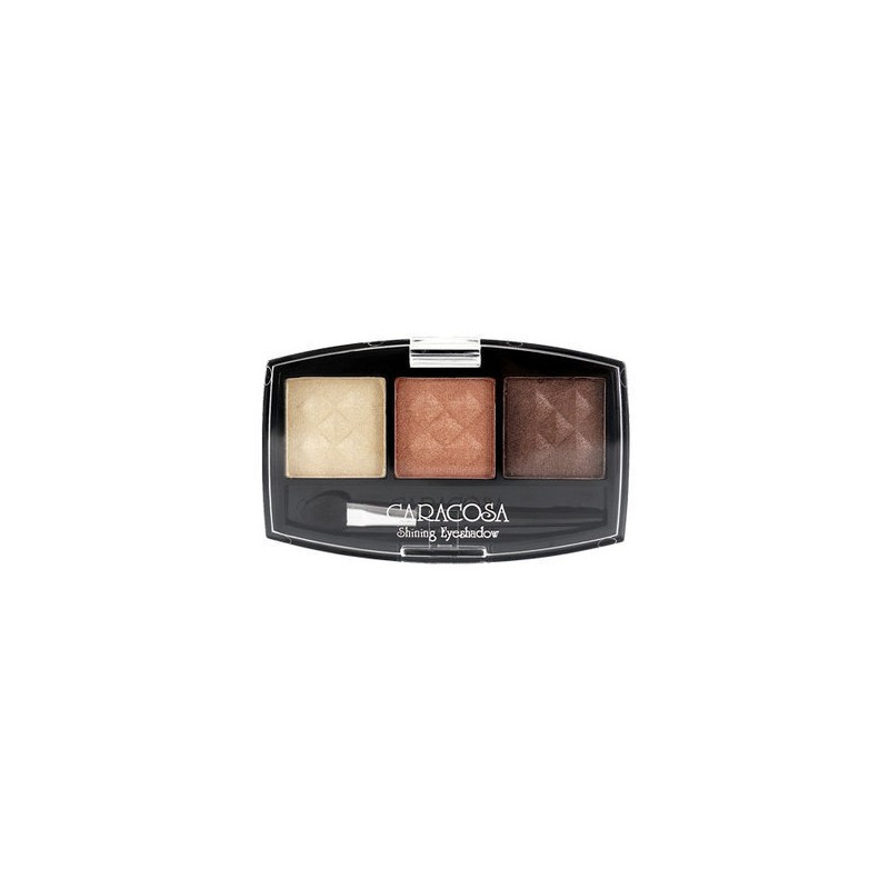 Caracosa Shining Eyeshadow #305 / 카라코사 샤이닝 아이섀도우 305호