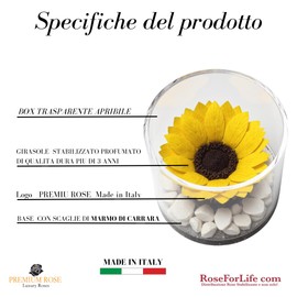 Premium-rose.com Round Box with Stabilized Sunflower and Carrara Marble Unique and Refined Gift Idea Gift Idea for Her Christmas Pink Cube Made in Italy