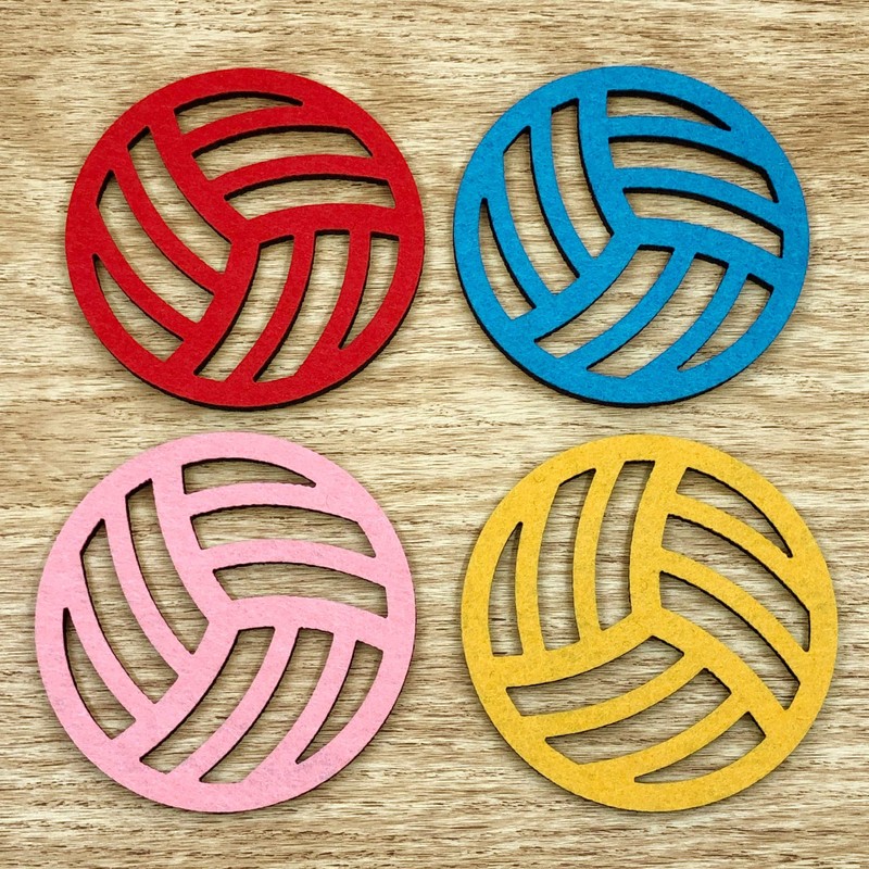 Passion for Volleyball Collection (4" Coaster Set of 4)