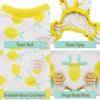 KYEESE Dogs Pajamas Stretchable Lemon Dog Pjs Lightweight 4 Legs