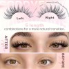 Kit De Extensiones 644 Pestañas Maquillaje Diy Lash Mixto