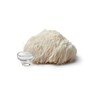 Entheogenic Emporium Lions Mane Extract 120g