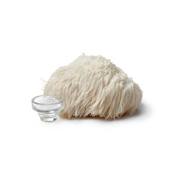 Entheogenic Emporium Lions Mane Extract 120g