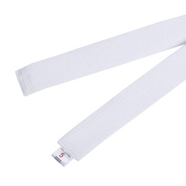 MARTIAL WORLD CB19 Color Belt, No. 2