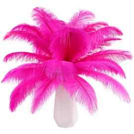 THARAHT Hot Pink Ostrich Feathers 12pcs Natural Bulk 10-12Inch 25cm-30cm for Crafts Wedding Party Centerpieces Easter Gatsbi and Home Decoration Feathers