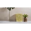Hymmah Bathroom Trash Can 1.8 Gallon(7 Liter) Small Kitchen Garbage