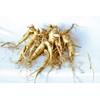 American Ginseng Transplant Roots 4 Years (Premium Quality, Seed Producing