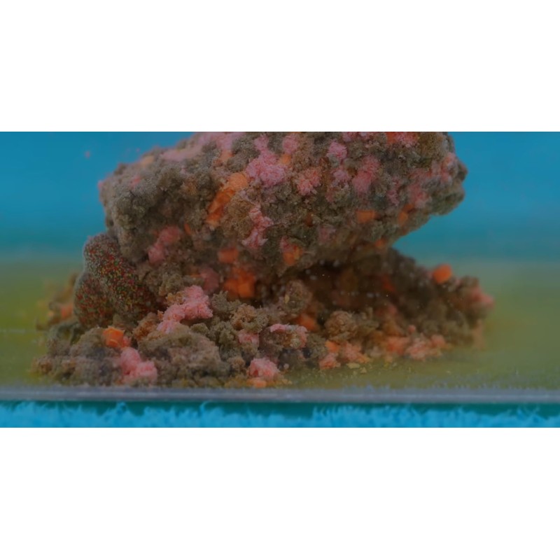 Haldorádó Pellet Bomb Fishing Bait, Mango Flavour, Slow Release Formula,