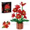 PLAXSOON Amaryllis Flowers Bonsai Building Set, Botanical Collection Building Block,