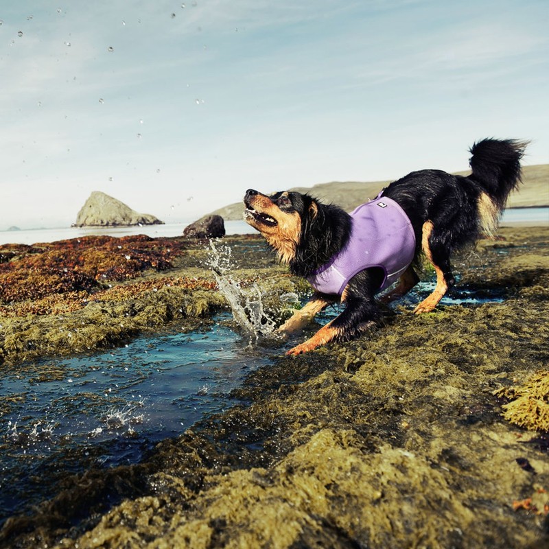 Hurtta Collection, Cooling Vest, Blue L