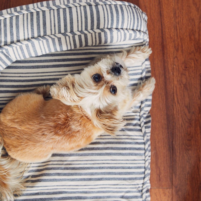 Harry Barker Market Stripe Lounger - Medium