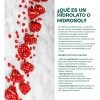 Tonico Facial Hidrolato De Granada 120ml Antioxidante Todo Tipo De