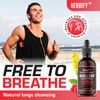 HERBIFY Mullein Drops - Lung Cleanse - Leaf Extract -