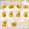 Pamonrueer 10 Pcs Cute Miniature Resin Cats Landscape Cats Figurines
