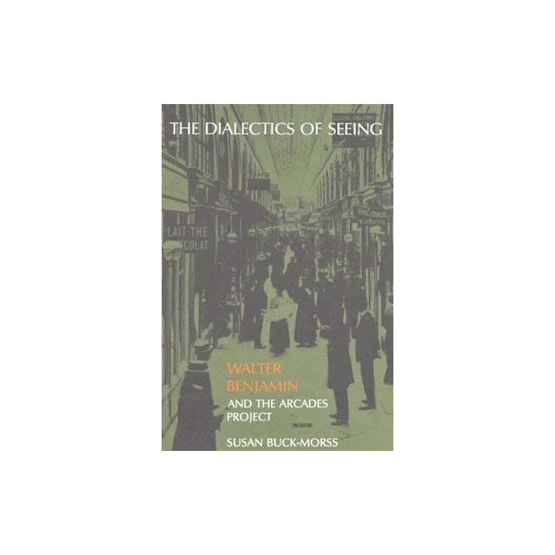 The Dialectics of Seeing: Walter Benjamin and the Arcades Project