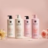 Amorepacific Mise en Scène Pearl Shining Shampoo/Treatment 3-Pack