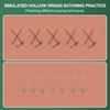 MedEduQuest Hollow Organ Suturing Kit, Suture Practice Kit for Medical