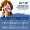 Kazazoo Martingale Collar for Dogs with Quick Release Buckle Adjustable