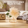 Saussavita Reed Diffuser Set for Home, 7.1 fl oz /