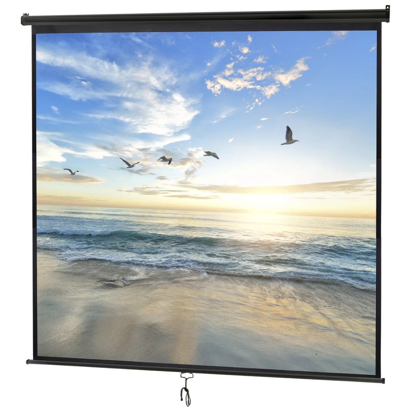 Segawe 120'' Projector Screen Projection Screen Manual Pull Down HD