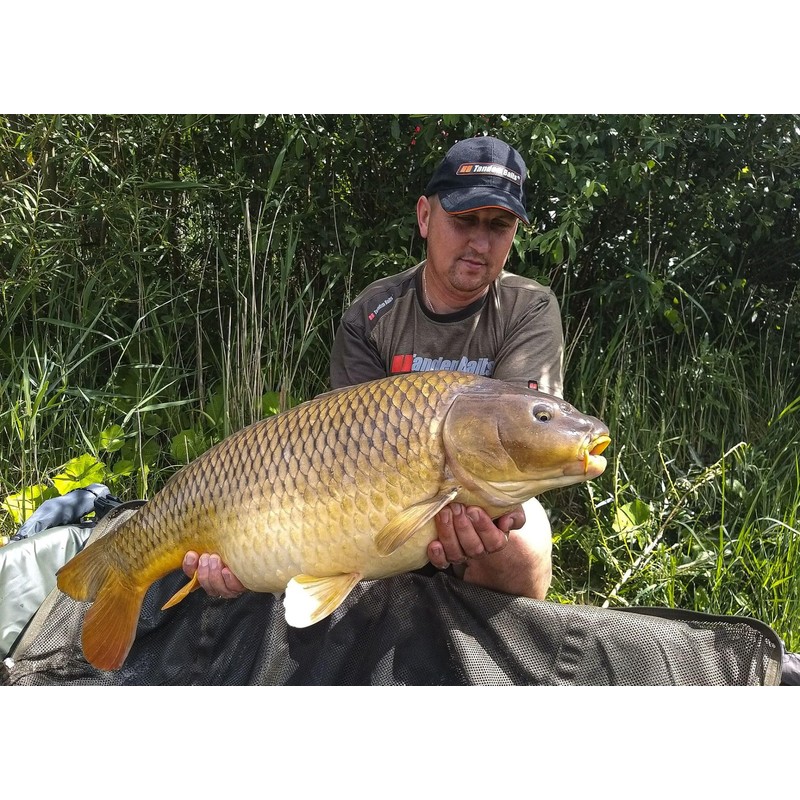 Tandem Baits Carp Feed Fishing Food Hook Bait Carp Food