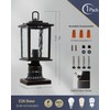 ZILLSEA Dusk to Dawn Outdoor Post Light, Oil-Rubbed Bronze Pole