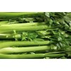 Celery Seed, Tendercrisp, 100 Seeds, Heirloom, Non GMO, Tender Crisp