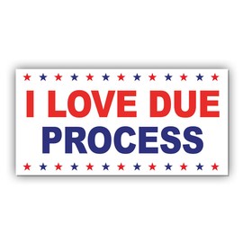 Magnet Sticker I Love Due Process Magnetic Liberal Progressive Values, Democrat Feminist Gift, Human Rights Classic Magnet for Bumper, Refrigerator, Cruise Door, Car, Truck 7.5x3.75in